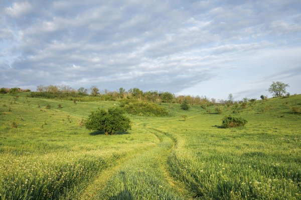Wat zijn de nieuwste ontwikkelingen op het gebied van reisveiligheid?