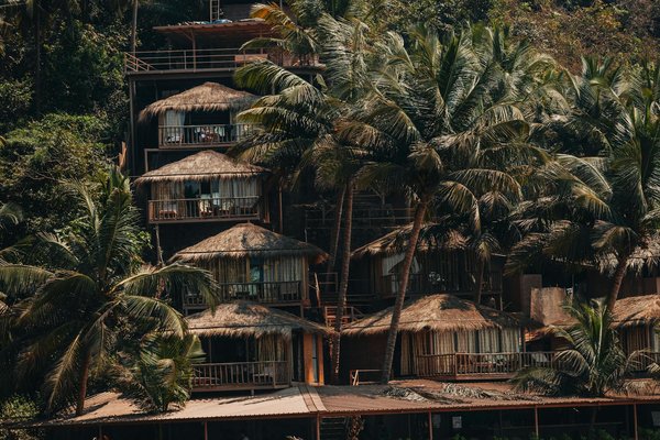 Warum ist regelmäßiges Tierarztbesuche für Hunde wichtig?